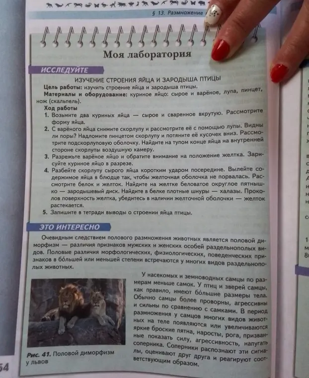 Изучи строение яйца и зародыша птицы.