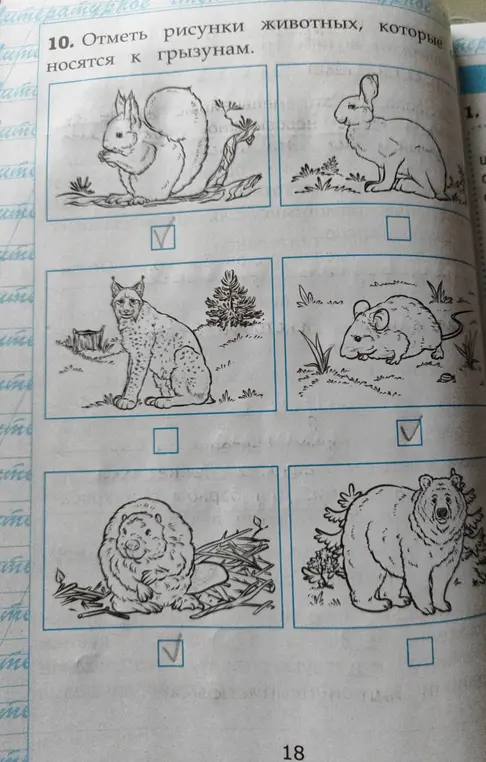 Отметь рисунки животных, которые относятся к грызунам.
