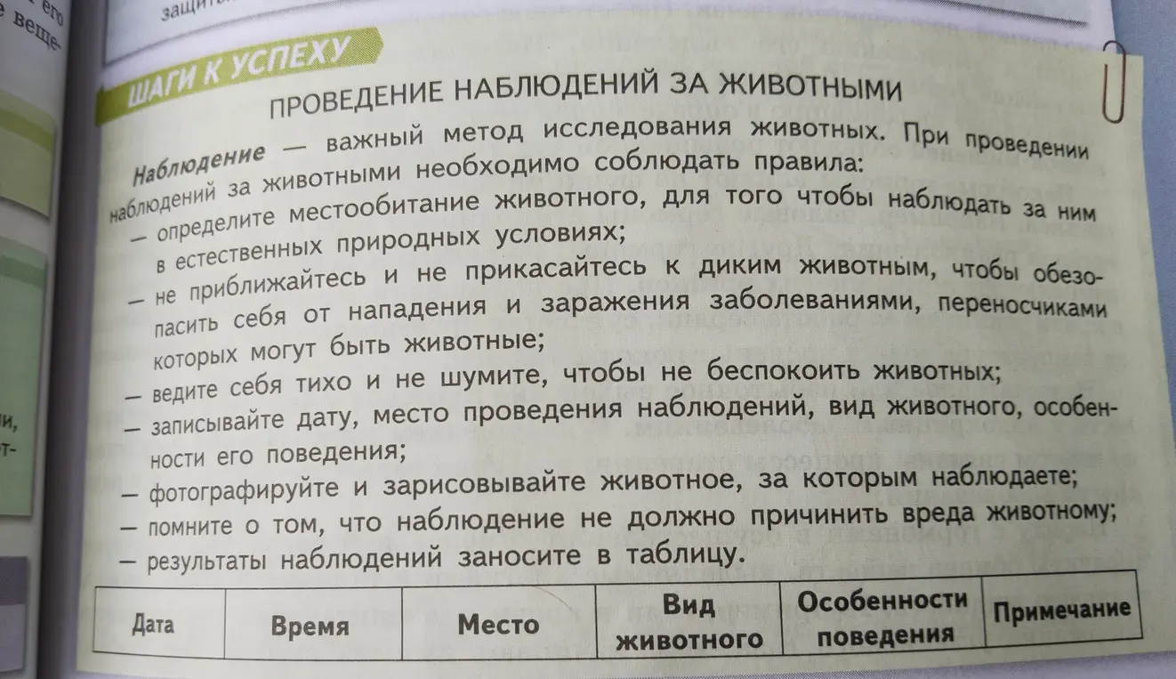 Расскажи, как проводить наблюдения за животными.