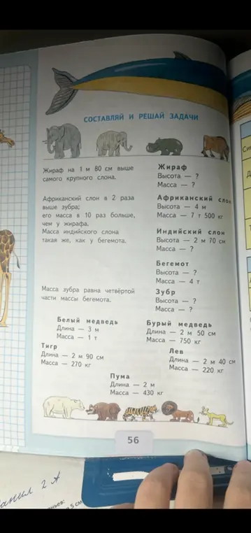 Реши задачи про животных