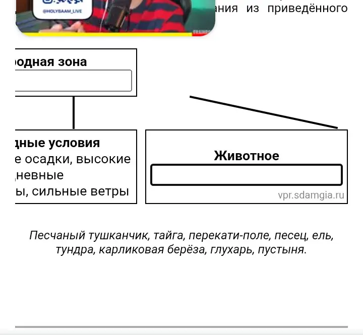 Заполни схему по биологии о природной зоне.