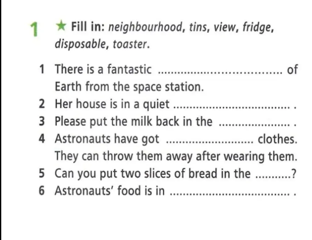 Заполни пропуски словами: neighbourhood, tins, view, fridge, disposable, toaster.