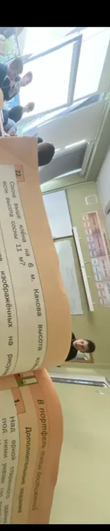 Определи высоту клёна, если сосна выше клёна на 6 м, а высота сосны 11 м?