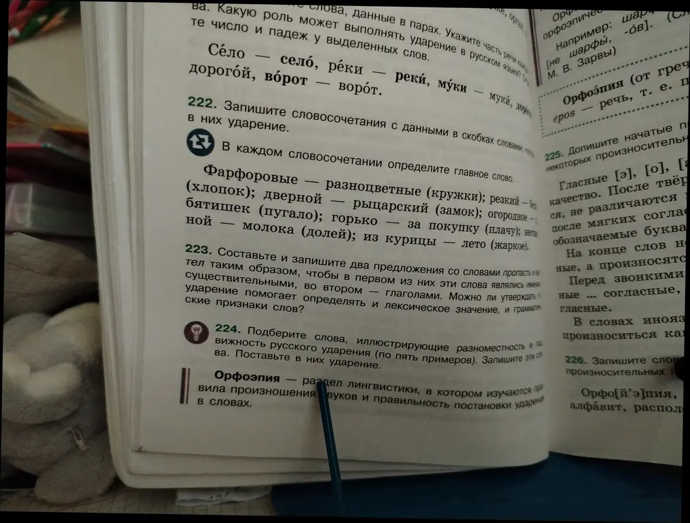 Запиши словосочетания с данными в скобках словами, поставь в них ударение и определи главное слово; составь и запиши два предложения со словами пропасть; подбери слова, иллюстрирующие разноместность и подвижность русского ударения.