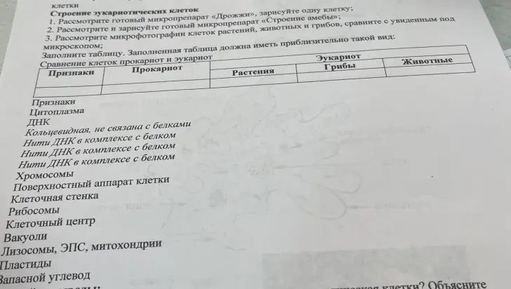 Заполни таблицу "Сравнение клеток прокариот и эукариот".