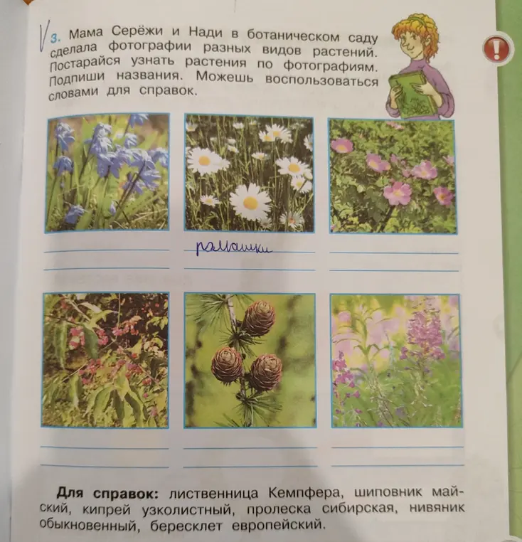Узнай растения по фотографиям и подпиши названия.