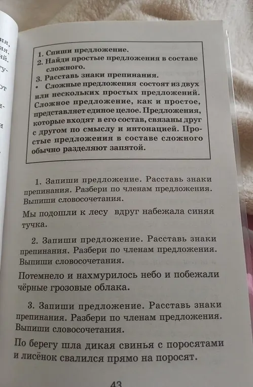 Запиши предложения. Расставь знаки препинания. Разбери по членам предложения. Выпиши словосочетания.