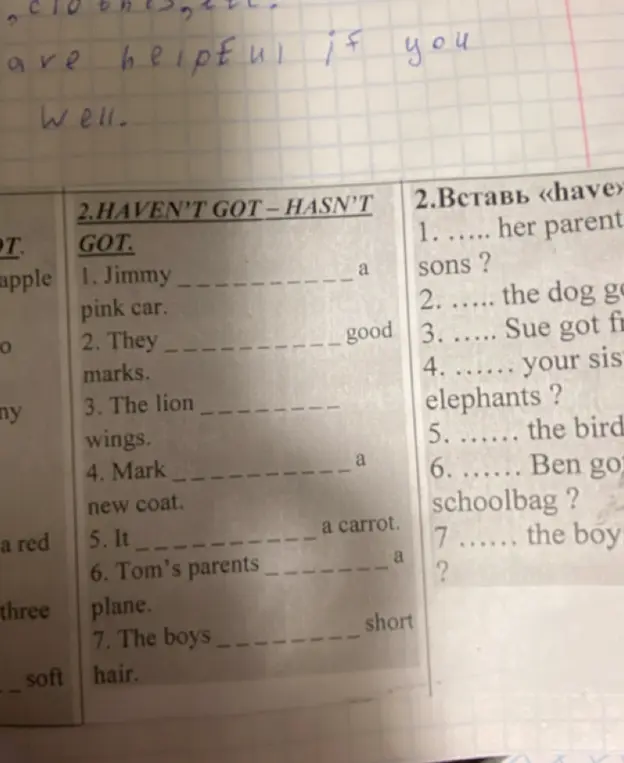 Заполни пропуски haven't got или hasn't got.