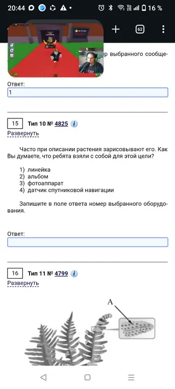 Определи, что ребята могли взять с собой, чтобы зарисовывать растения.