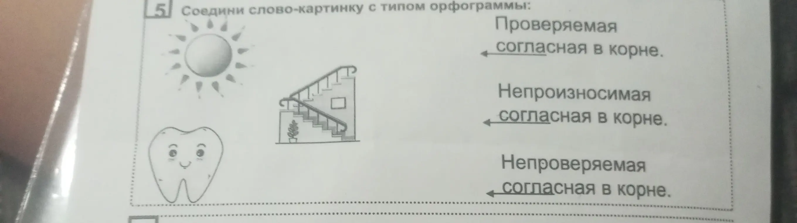 Соедини слово-картинку с типом орфограммы.