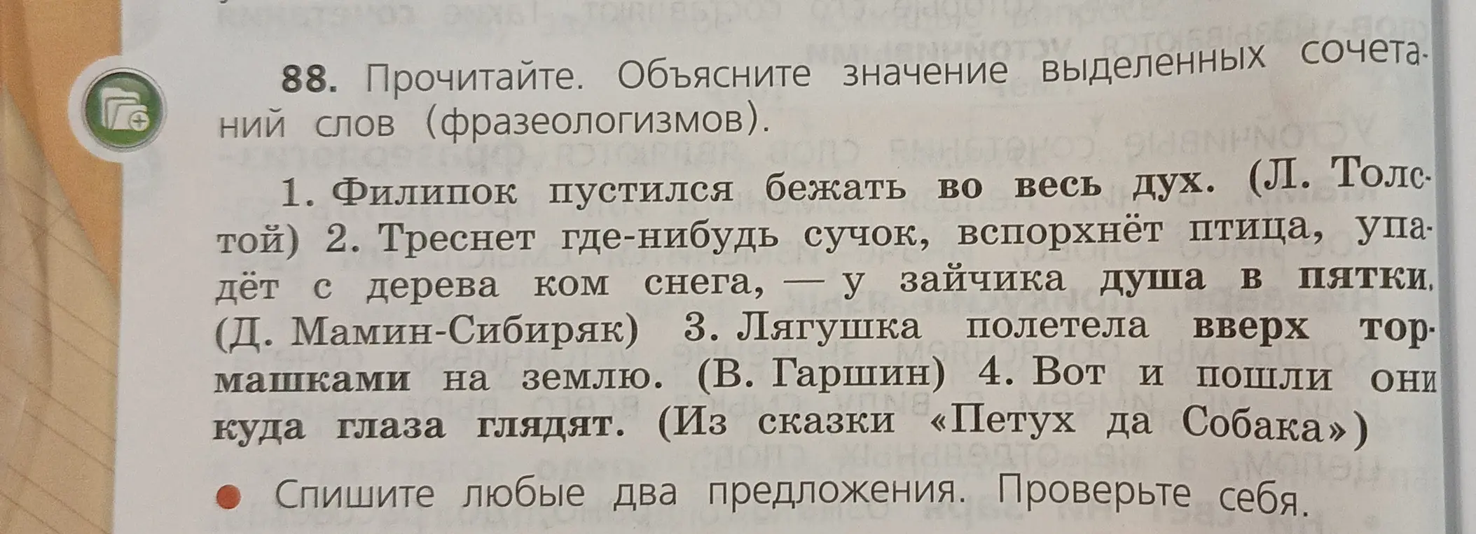 Объясни значения выделенных сочетаний слов (фразеологизмов).
