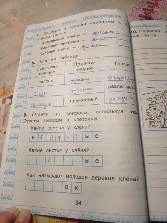 Ответь на вопросы про клён: какие семена, какие листья, как называют молодое деревце.