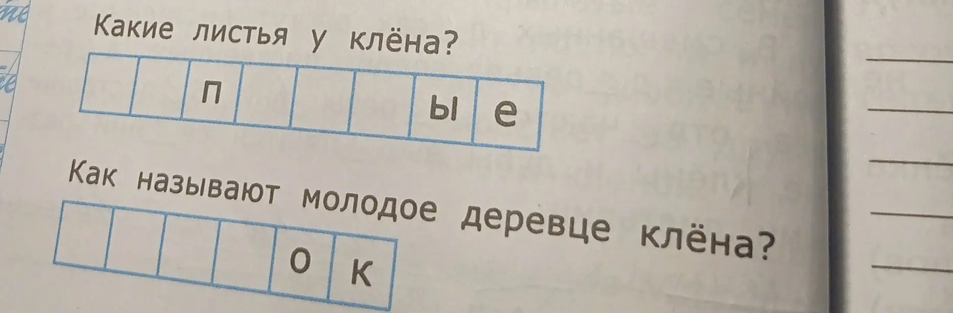Заполни пропуски в словах: "Какие листья у клёна? П...ЫЕ", "Как называют молодое деревце клёна? ...ОК".