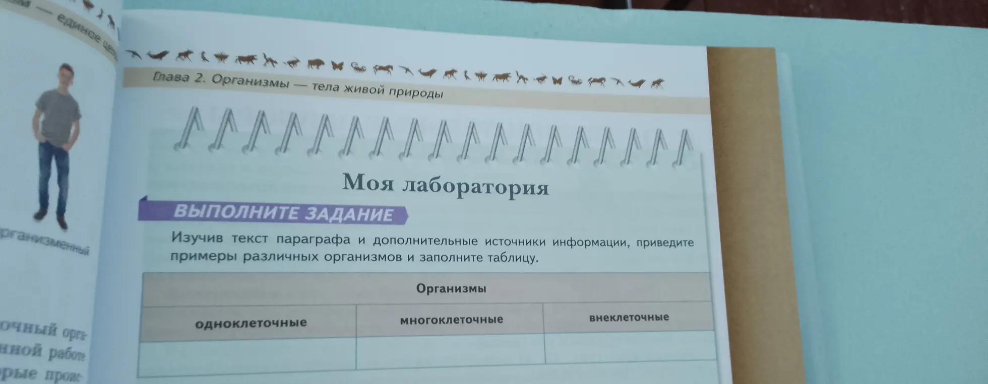 Изучив текст параграфа и дополнительные источники информации, приведи примеры различных организмов и заполни таблицу.