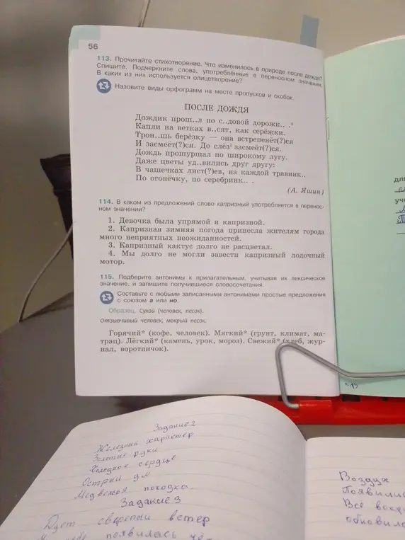 Определи предложение, в котором слово "капризный" употреблено в переносном значении и подбери антонимы к прилагательным.