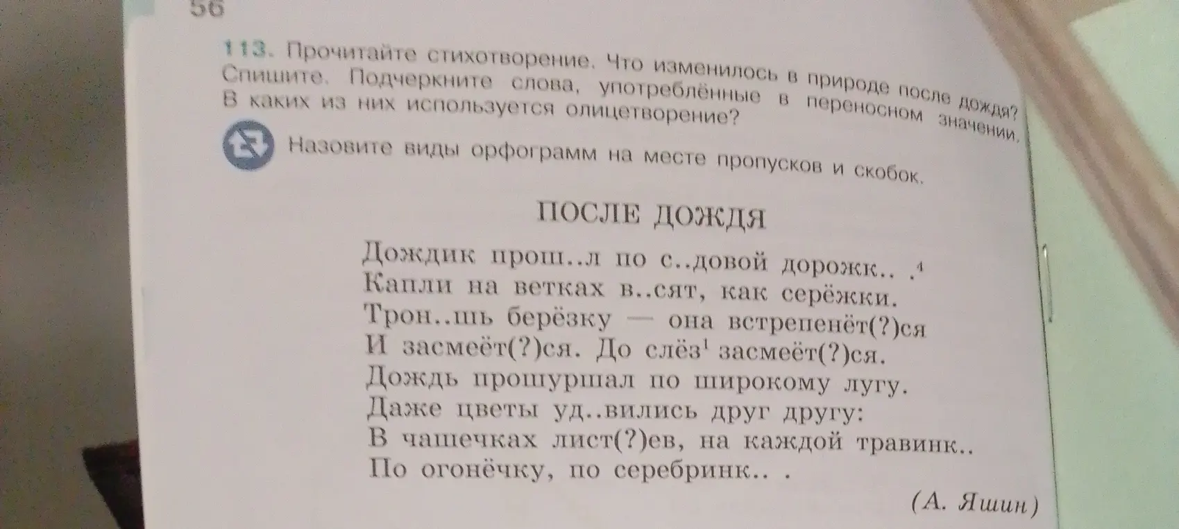 Прочитай стихотворение, скажи, что изменилось в природе после дождя, спиши, подчеркни слова, употребленные в переносном значении, в каких из них используется олицетворение, назови виды орфограмм на месте пропусков и скобок.