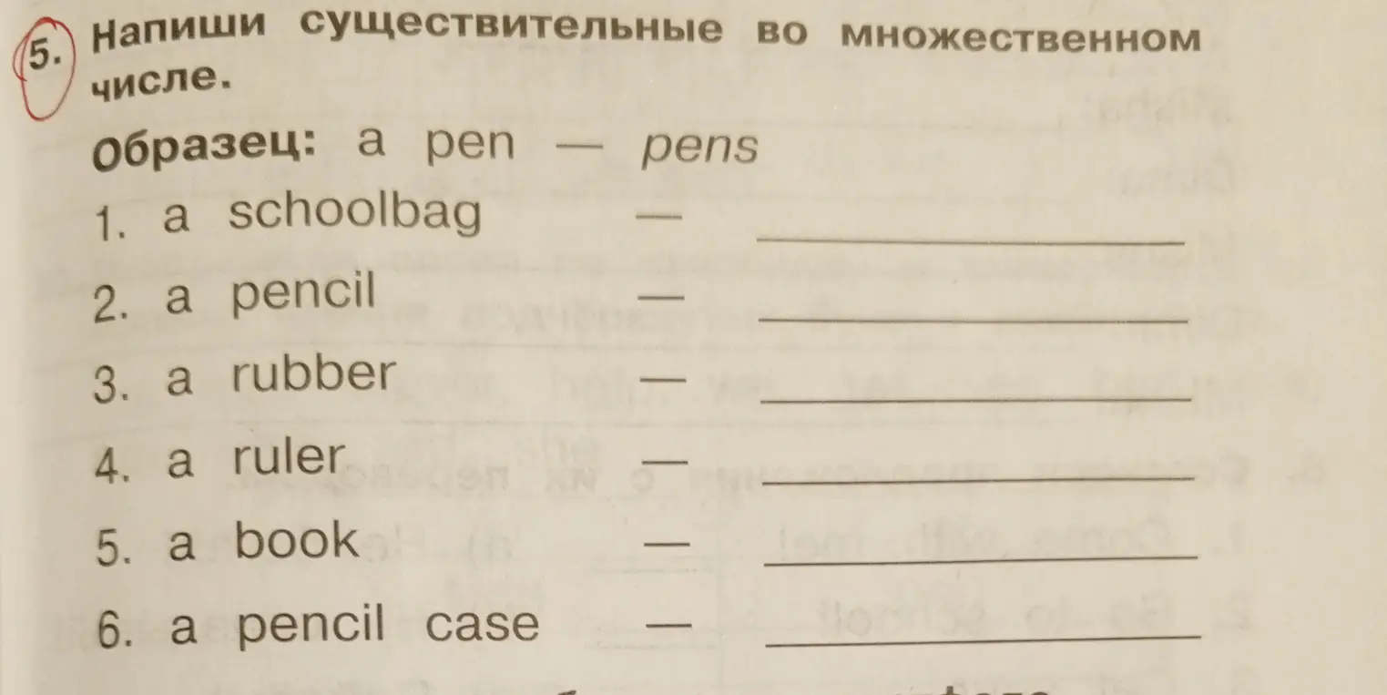 Напиши существительные во множественном числе.