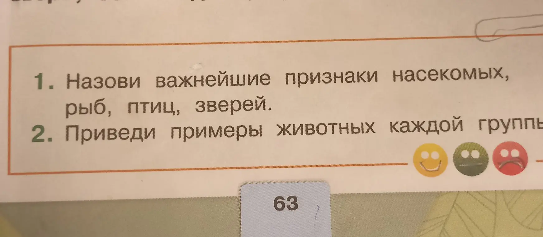 Назови важнейшие признаки насекомых, рыб, птиц, зверей.