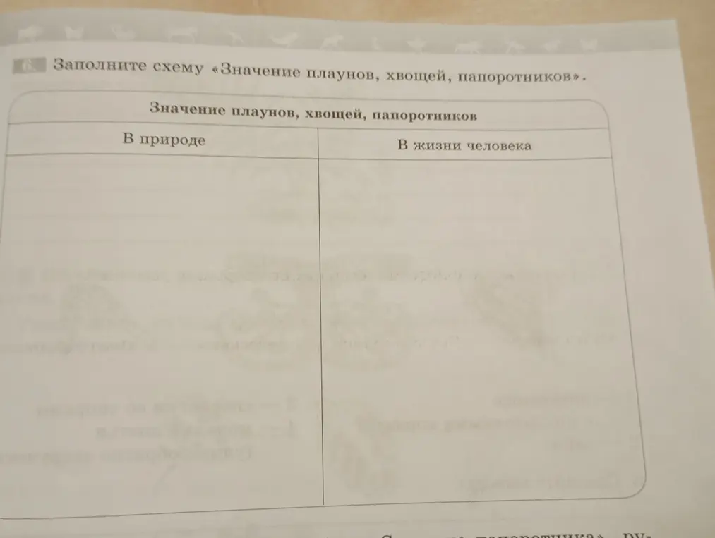 Заполни схему «Значение плаунов, хвощей, папоротников»