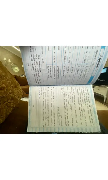 Подчеркни в тексте предложение, в котором заключена главная мысль, и выпиши из выделенных предложений слова, состоящие из трёх слогов.