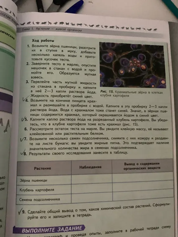 Заполни таблицу и сделай общий вывод о химическом составе растений.