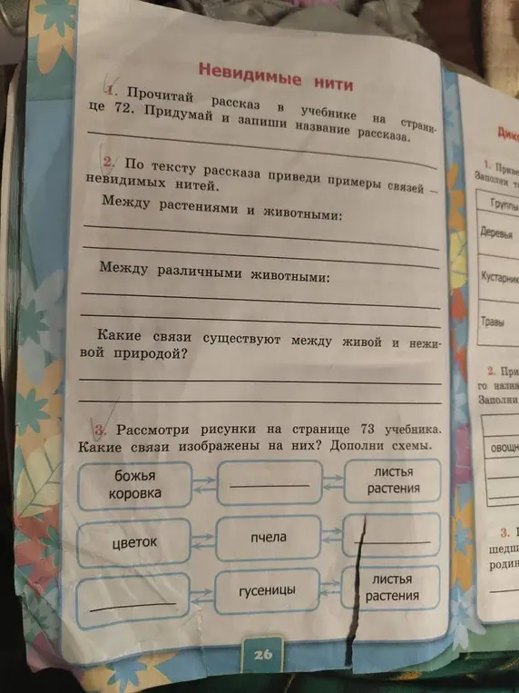 По тексту рассказа "Невидимые нити" приведи примеры связей, рассмотри рисунки на странице 73 учебника и определи, какие связи изображены на них.