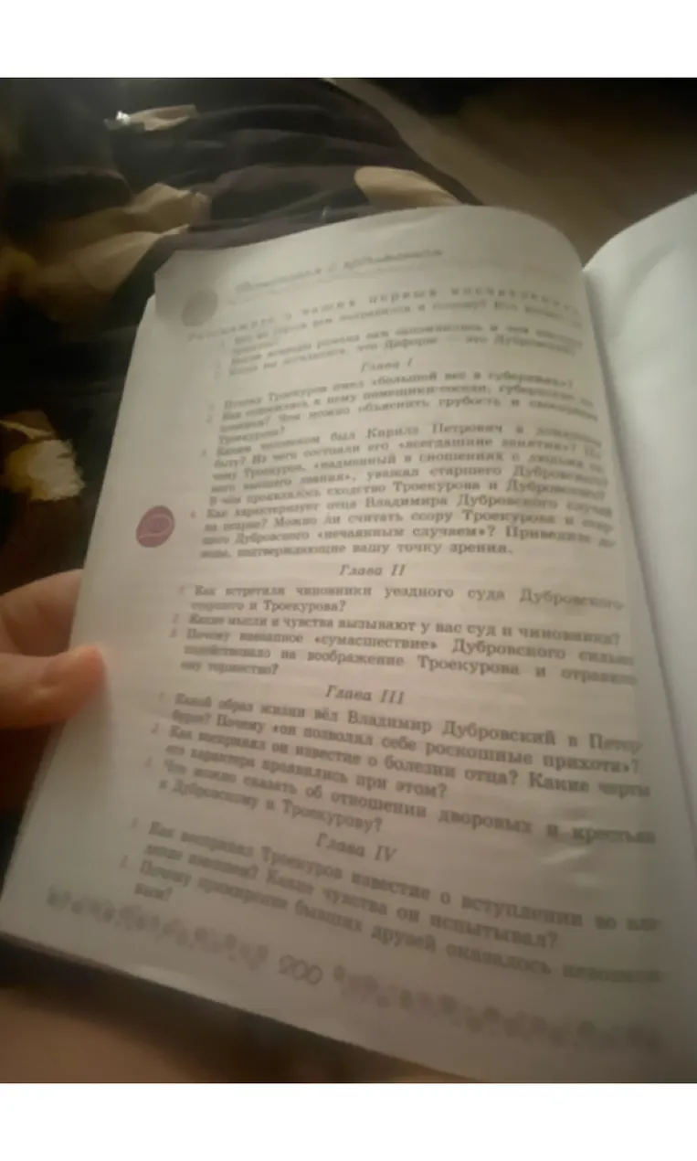 Ответь на вопросы по Главе III «Какой образ жизни вёл Владимир Дубровский в Петербурге? Как воспринял он известие о болезни отца?»