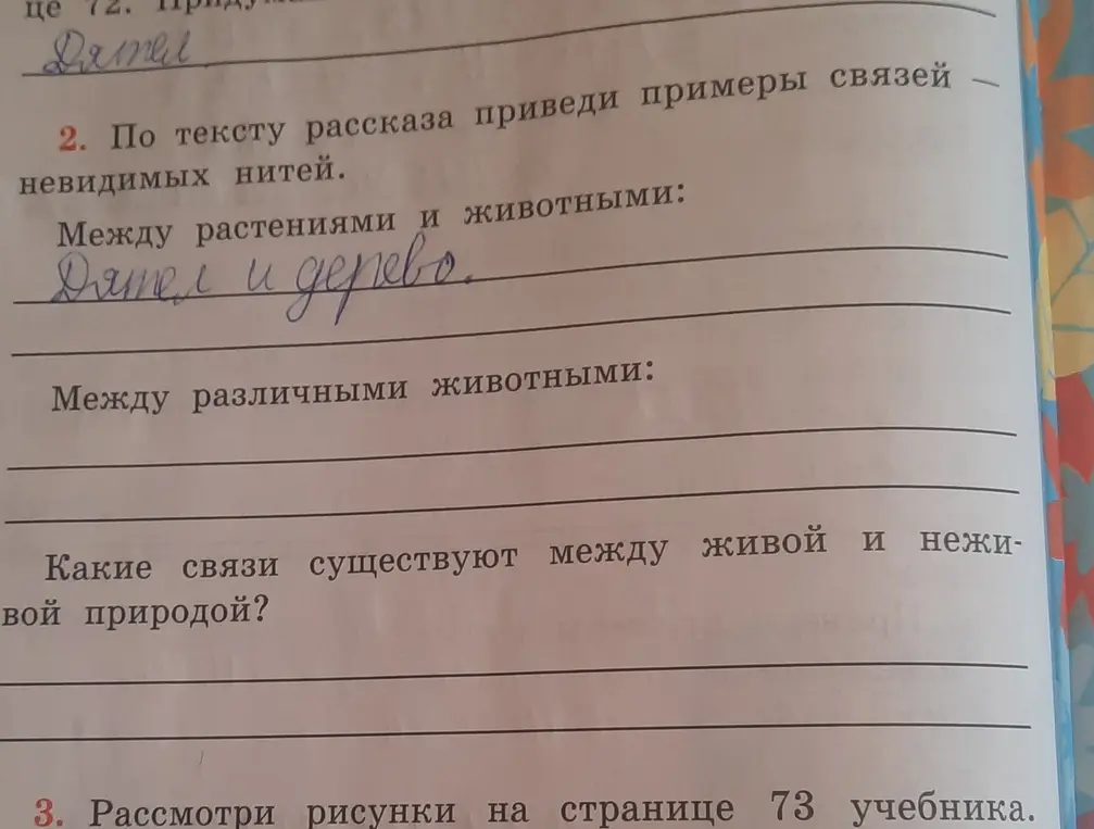 По тексту рассказа приведи примеры связей невидимых нитей между растениями и животными, между разными животными и между живой и неживой природой.