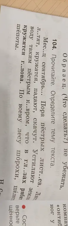 Прочитай текст и определи тему текста.