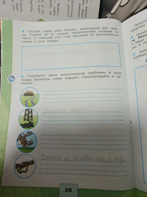 Составь схему цепи питания, характерной для тундры, и расскажи об экологических связях в зоне тундры. Подумайте, какие экологические проблемы в зоне тундры выражены этими знаками. Сформулируйте и запишите.