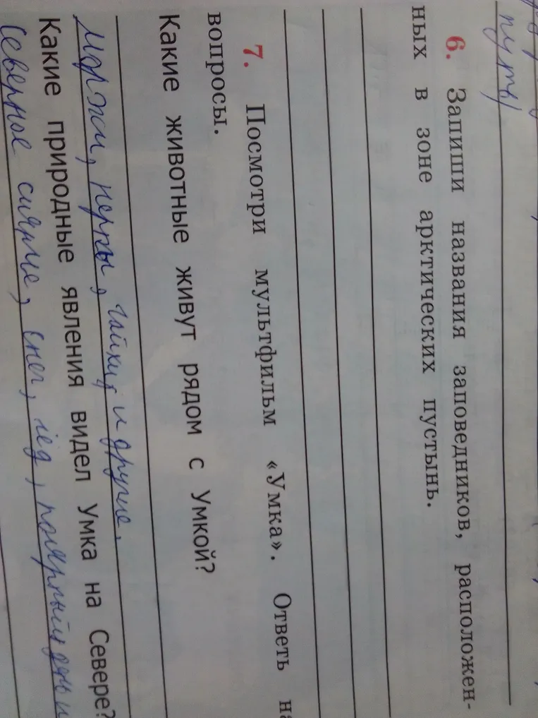 Посмотри мультфильм «Умка». Ответь на вопросы: Какие животные живут рядом с Умкой?