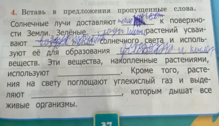 Вставь в предложения пропущенные слова: Солнечные лучи доставляют ... к поверхности Земли.