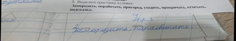 Выдели приставку в словах: Заморозить, поработать, пригород, уходить, прокричать, отъехать, подсказка.