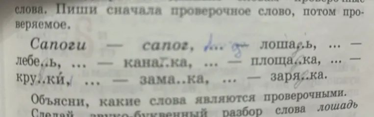 Объясни, какие слова являются проверочными и сделай звуко-буквенный разбор слова \"лошадь\".