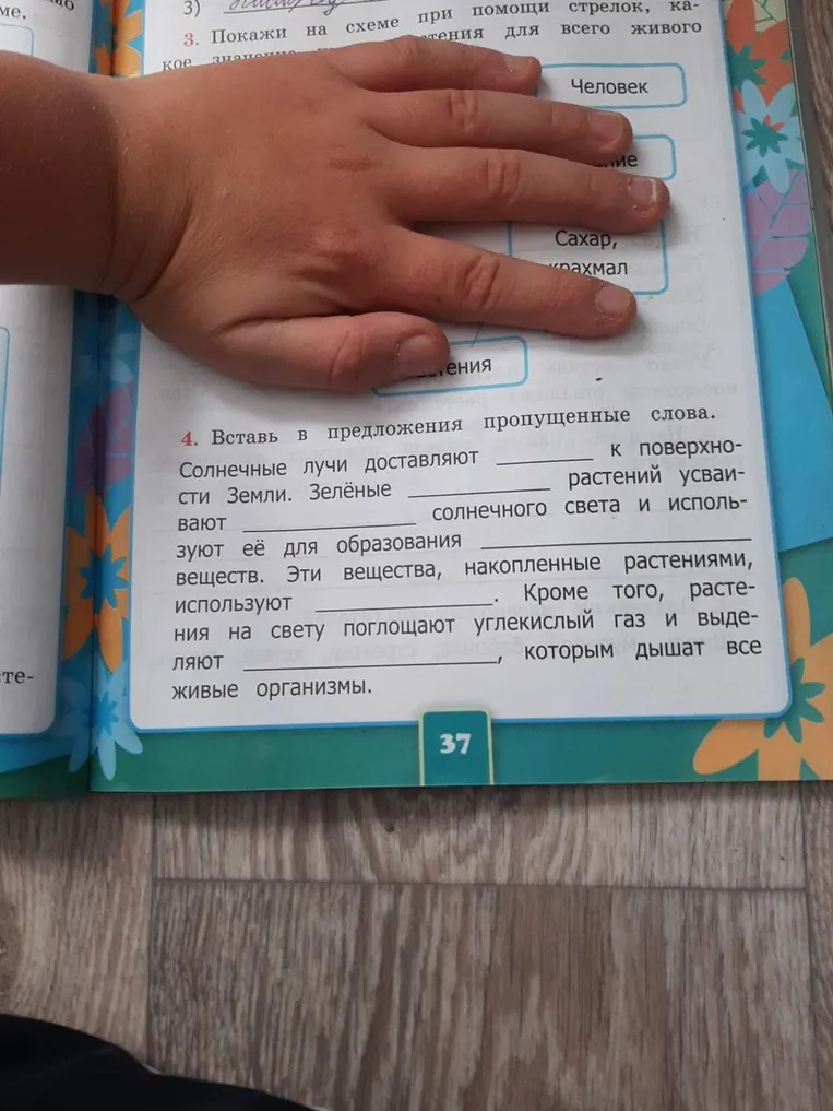 Вставь в предложения пропущенные слова: Солнечные лучи доставляют ... к поверхности Земли.