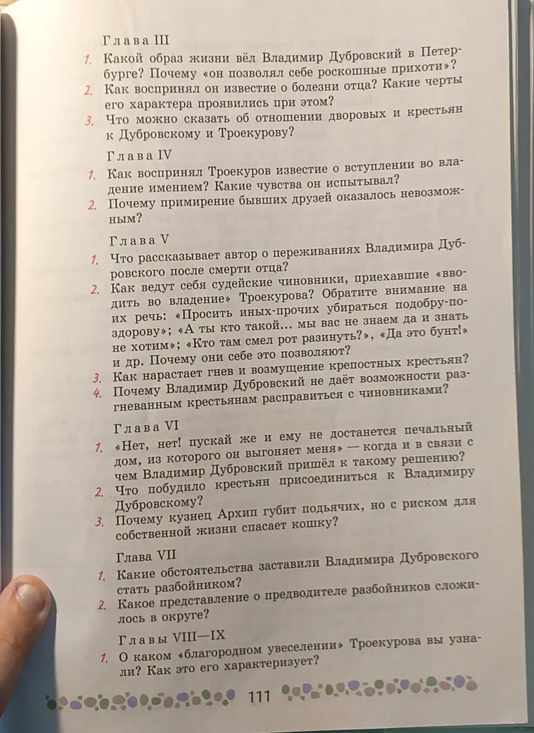 Ответь на вопросы по главам III-IX романа Дубровский.