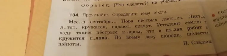 Прочитай текст и определи его тему.