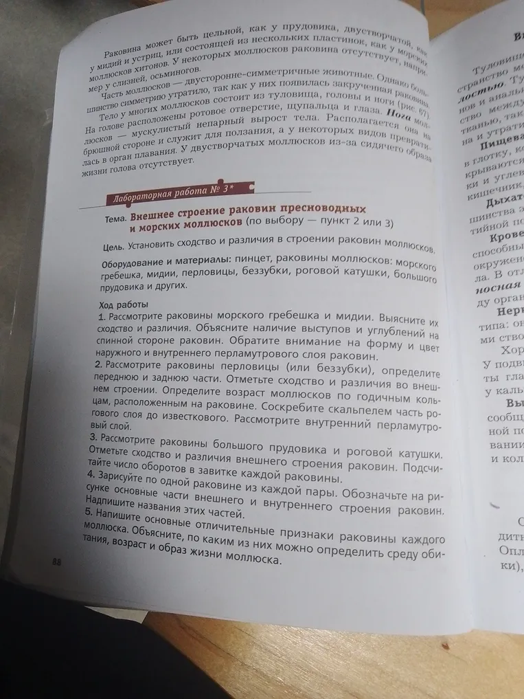 Выполни лабораторную работу № 3, тема: «Внешнее строение раковин пресноводных и морских моллюсков (по выбору — пункт 2 или 3)». Установи сходство и различия в строении раковин моллюсков.