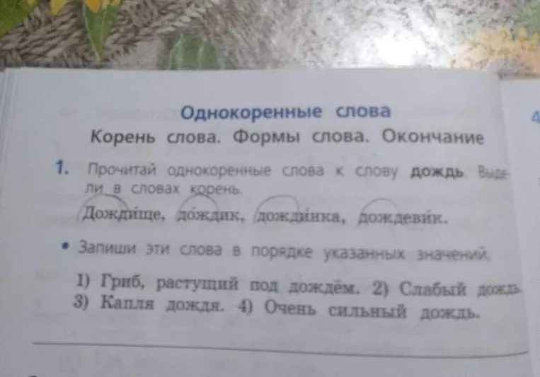 Прочитай однокоренные слова к слову дождь. Выдели в словах корень.