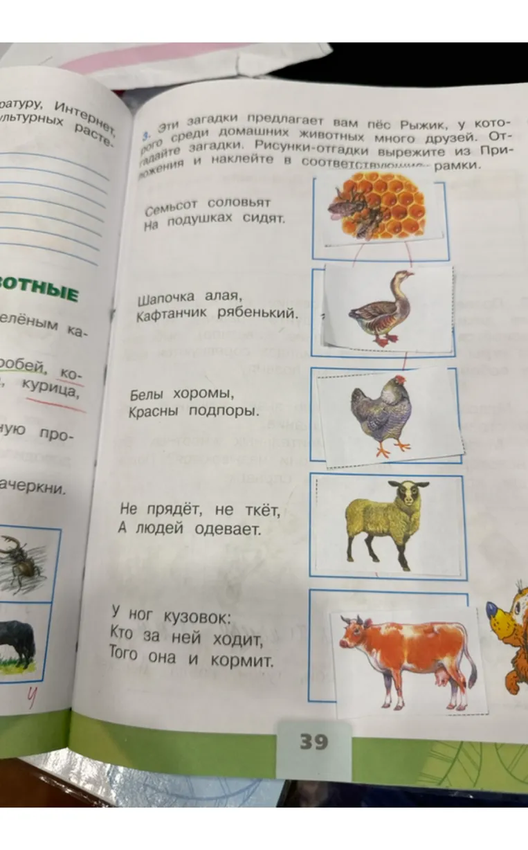 Отгадай загадки, которые предлагает пёс Рыжик.