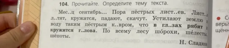 Прочитай текст и определи его тему.