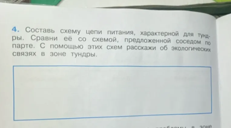 Составь схему цепи питания, характерной для тундры. Сравни её со схемой, предложенной соседом по парте. С помощью этих схем расскажи об экологических связях в зоне тундры.