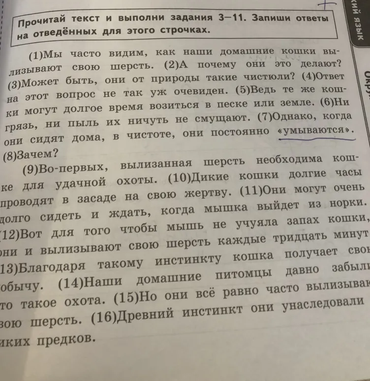 Выпиши из 9-го предложения все имена существительные в той форме, в которой они употреблены в предложении, и укажи род, склонение, число, падеж одной из форм имени существительного.