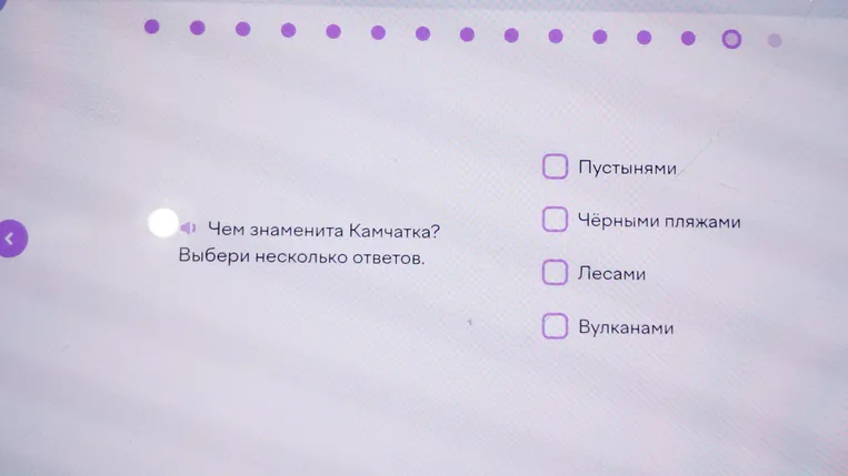 Ответь, чем знаменита Камчатка. Выбери несколько ответов.
