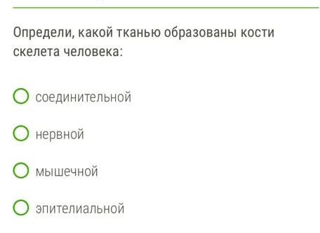 Определи, какой тканью образованы кости скелета человека.