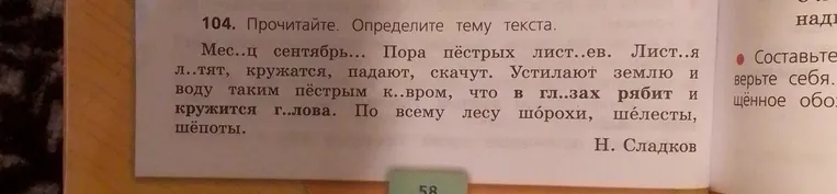 Прочитай текст и определи его тему.