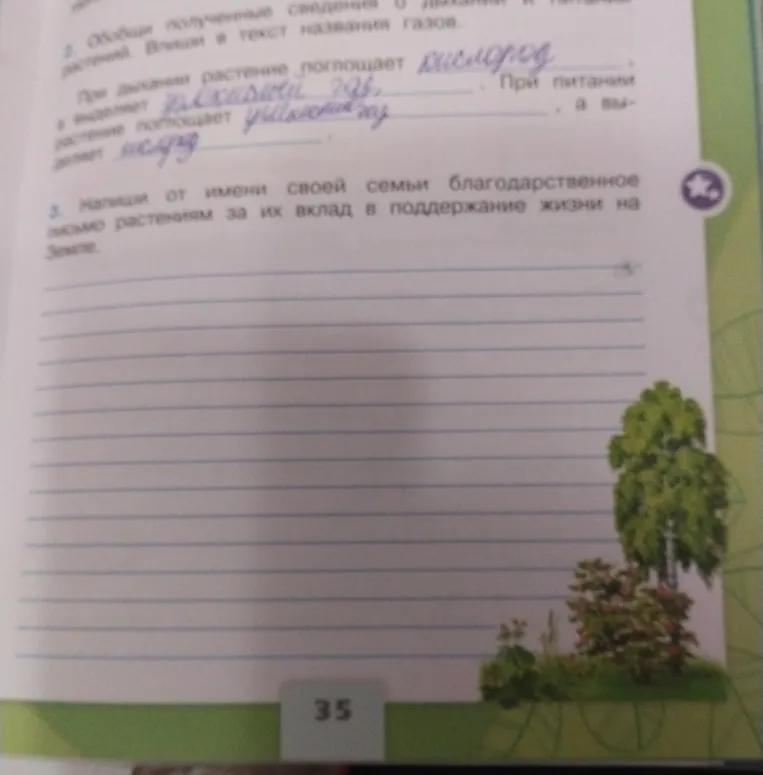 Напиши благодарственное письмо растениям за их вклад в поддержание жизни на Земле.