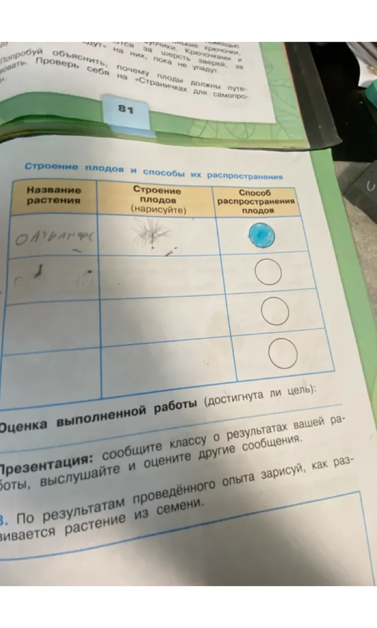 Заполни таблицу "Строение плодов и способы их распространения".
