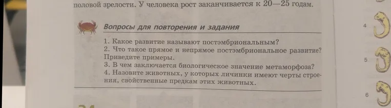 Какое развитие называют постэмбриональным?