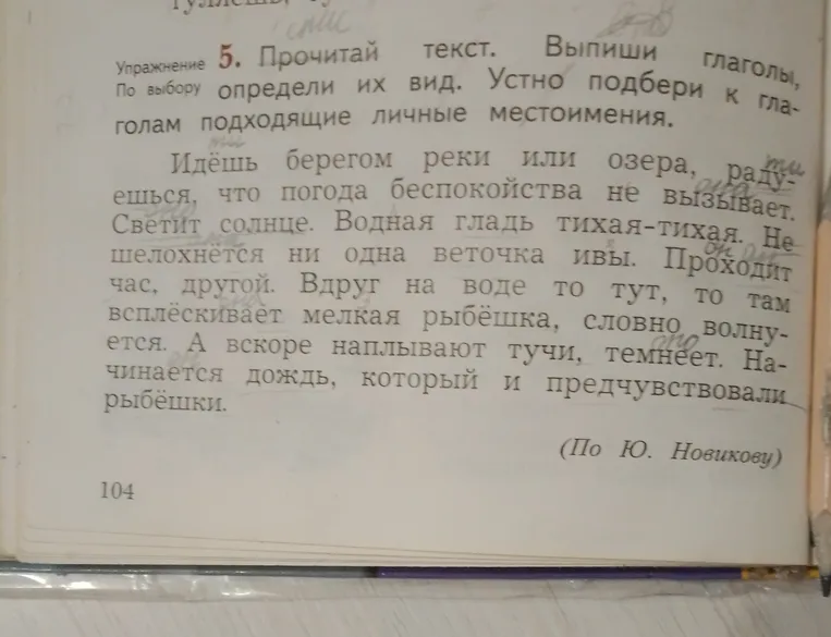 Прочитай текст. Выпиши глаголы, по выбору определи их вид. Устно подбери к глаголам подходящие личные местоимения.